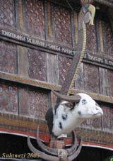 Toraja3_1
