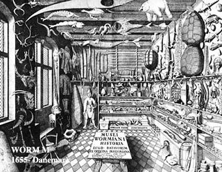 Wormm_1655