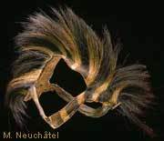 Coiffurezebre_neuchatel