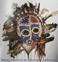 Chipepa_matapa_mne_200