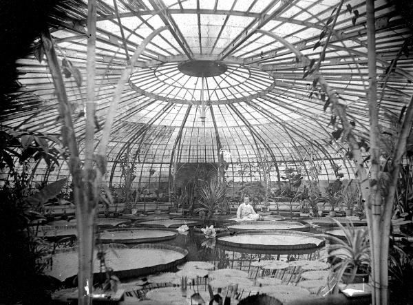 Jan-Goedeljee_Hortus_Botanicus-600