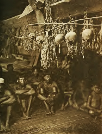 Cranes-maison-longue-400 Cranes-maison-longue-400