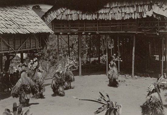 Festival-des-graine-1898RV-A10-124-550