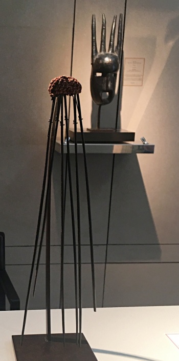 Peigne-nelle-caledonie350