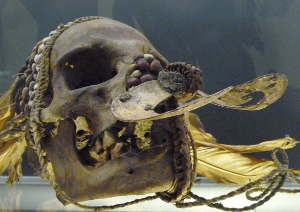 Crane-asmat-rotterdam