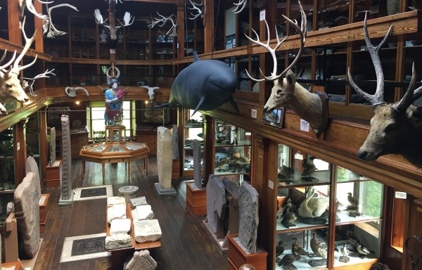 Dunrobin-inside Dunrobin-inside