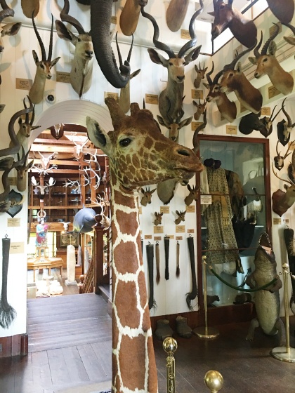 Dunrobin-castle-girafe Dunrobin-castle-girafe